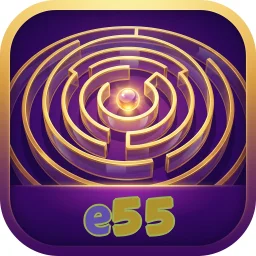 e55