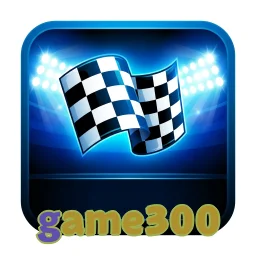 game300
